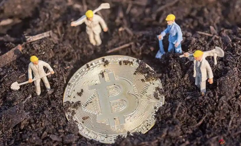 A large-scale mining farm setup