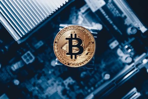 Bitcoin miner analyzing real-time mining performance data